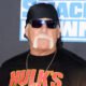 Hulk Hogan