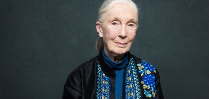 Jane Goodall