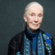 Jane Goodall