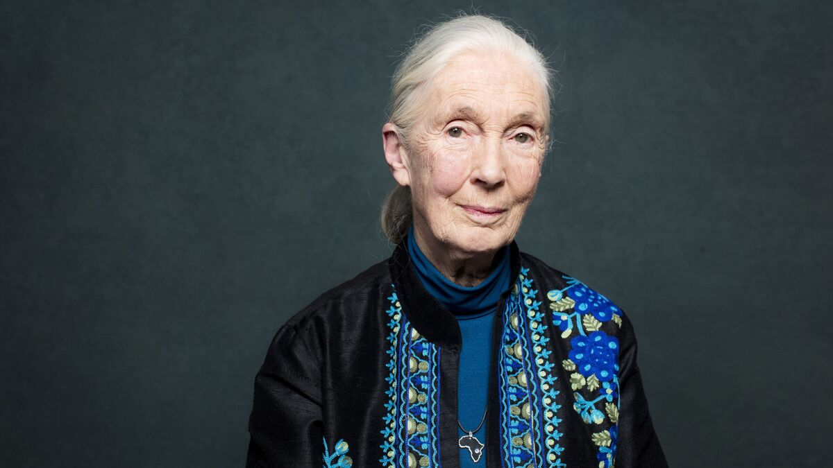 Jane Goodall